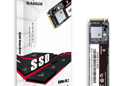 Warrior 256GB NVME M.2 PCIe SSD Drive